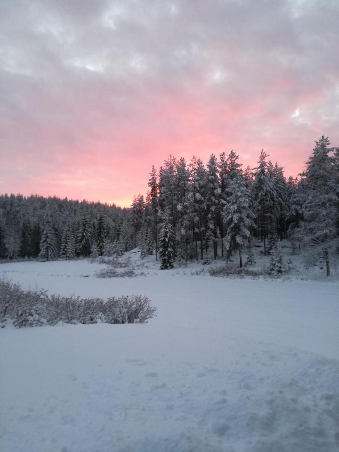 Presterudveien 125 Vikersund المظهر الخارجي الصورة