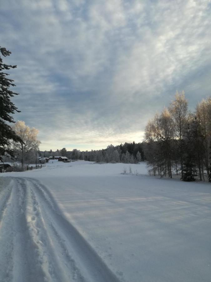 Presterudveien 125 Vikersund المظهر الخارجي الصورة