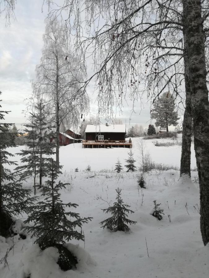 Presterudveien 125 Vikersund المظهر الخارجي الصورة