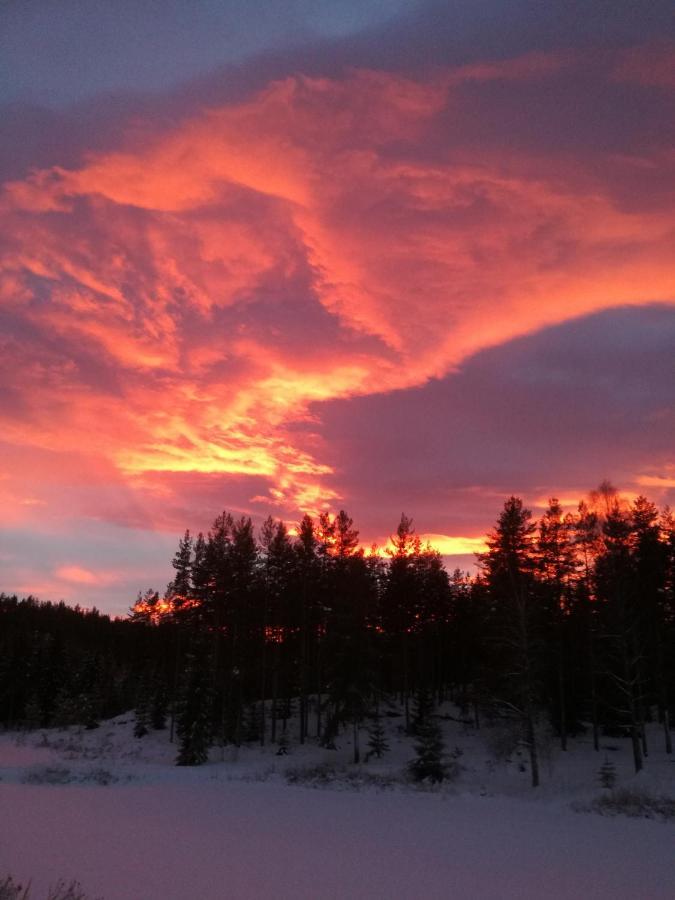Presterudveien 125 Vikersund المظهر الخارجي الصورة