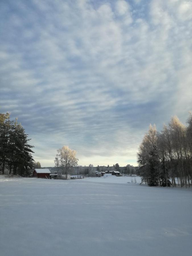 Presterudveien 125 Vikersund المظهر الخارجي الصورة